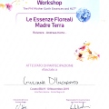 Ingrandire l'immagine: certificate 5