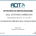 Ingrandire l'immagine: certificate 8