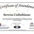 Ingrandire l'immagine: certificate 3