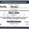 Ingrandire l'immagine: certificate 2