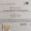 Ingrandire l'immagine: certificate 4