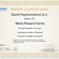 Ingrandire l'immagine: certificate 8