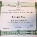 Ingrandire l'immagine: certificate 5