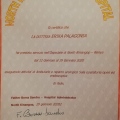Ingrandire l'immagine: certificate 1