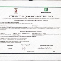 Ingrandire l'immagine: certificate 1