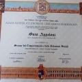 Ingrandire l'immagine: certificate 1