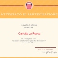 Ingrandire l'immagine: certificate 4