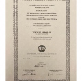 Ingrandire l'immagine: certificate 1