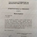 Ingrandire l'immagine: certificate 12