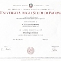 Ingrandire l'immagine: certificate 1
