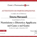 Ingrandire l'immagine: certificate 1