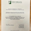 Ingrandire l'immagine: certificate 1