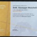 Ingrandire l'immagine: certificate 6