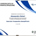 Ingrandire l'immagine: certificate 5