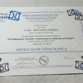 Ingrandire l'immagine: certificate 4