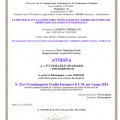 Ingrandire l'immagine: certificate 27