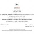 Ingrandire l'immagine: certificate 1