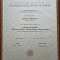 Ingrandire l'immagine: certificate 1