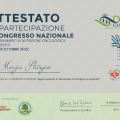 Ingrandire l'immagine: certificate 1