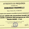 Ingrandire l'immagine: certificate 3