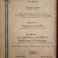 Ingrandire l'immagine: certificate 3