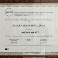 Ingrandire l'immagine: certificate 2