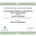 Ingrandire l'immagine: certificate 11
