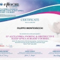 Ingrandire l'immagine: certificate 1