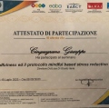 Ingrandire l'immagine: certificate 2
