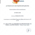Ingrandire l'immagine: certificate 12