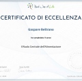 Ingrandire l'immagine: certificate 6