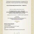 Ingrandire l'immagine: certificate 5