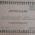 Ingrandire l'immagine: certificate 7