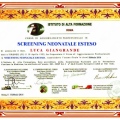 Ingrandire l'immagine: certificate 8