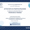 Ingrandire l'immagine: certificate 8