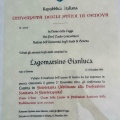 Ingrandire l'immagine: certificate 1