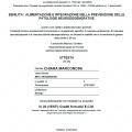 Ingrandire l'immagine: certificate 5