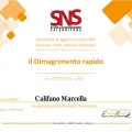 Ingrandire l'immagine: certificate 1