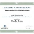 Ingrandire l'immagine: certificate 14
