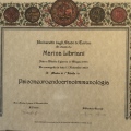 Ingrandire l'immagine: certificate 1