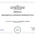 Ingrandire l'immagine: certificate 15