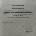 Ingrandire l'immagine: certificate 9