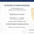 Ingrandire l'immagine: certificate 5