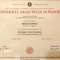 Ingrandire l'immagine: certificate 2