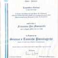 Ingrandire l'immagine: certificate 3