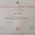 Ingrandire l'immagine: certificate 9