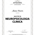 Ingrandire l'immagine: certificate 2