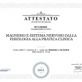 Ingrandire l'immagine: certificate 23