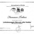 Ingrandire l'immagine: certificate 3