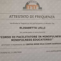 Ingrandire l'immagine: certificate 12